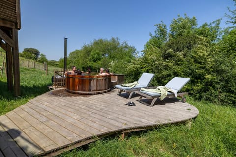 Patio, Day, Natural landscape, Garden view, sunbed