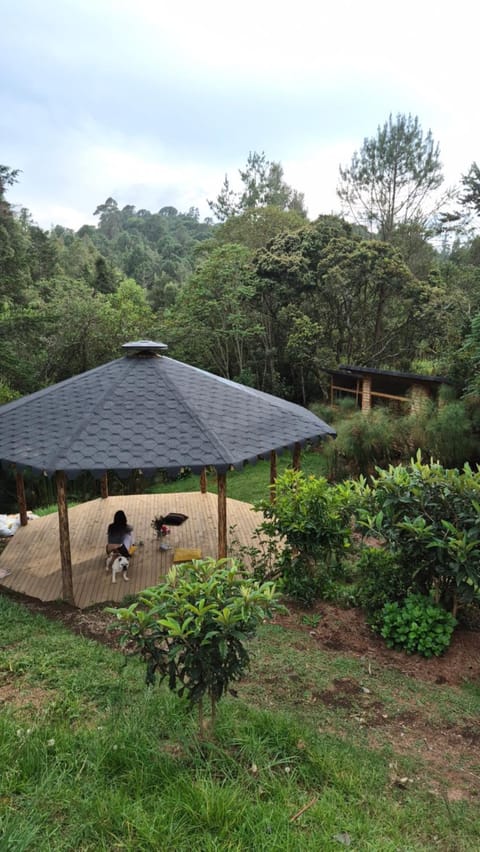 Garden, Garden view