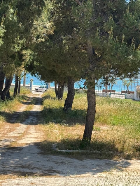 Garden, Sea view, Parking