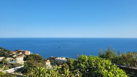 Costa Plana apartment with terrace and sea view Apartment in Cap-d'Ail