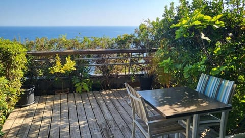 Costa Plana apartment with terrace and sea view Apartment in Cap-d'Ail