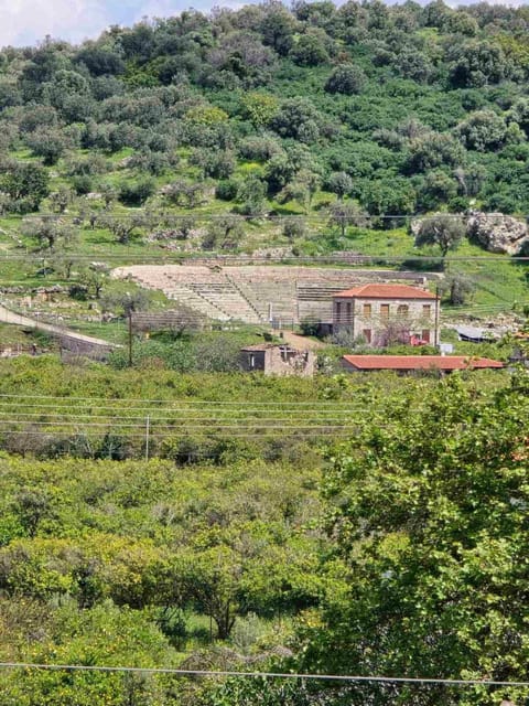 Natural landscape