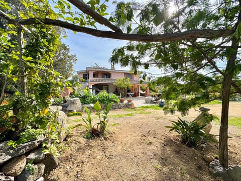 Property building, Garden, Garden view
