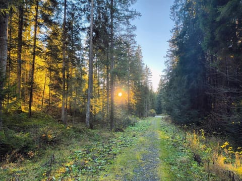 Natural landscape