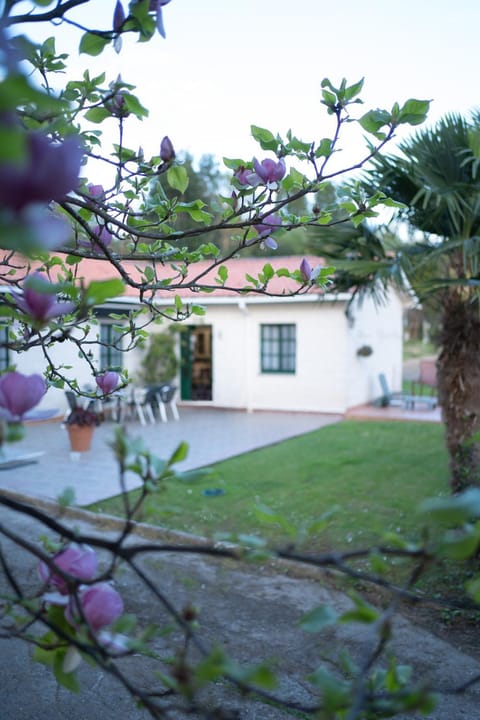 Property building, Garden view