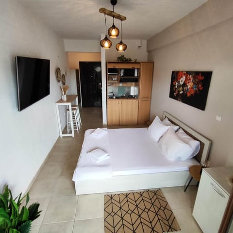Bed, TV and multimedia, Kitchen or kitchenette, Photo of the whole room
