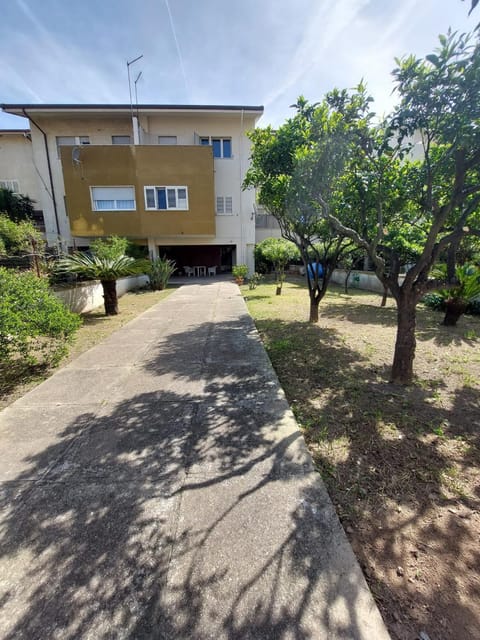 Property building, Garden, Garden view