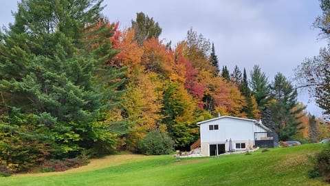 Property building, Natural landscape, Garden, Garden view