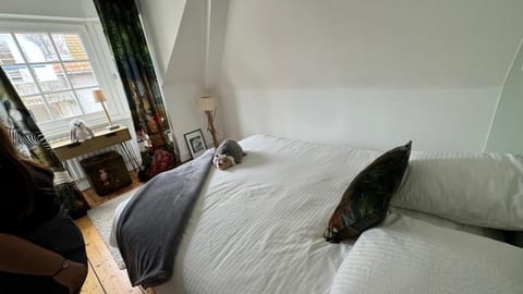 Touquettoise à 2 pas de la plage - Hyper centre Apartment in Hauts-de-France