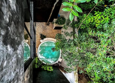 Garden view, Swimming pool