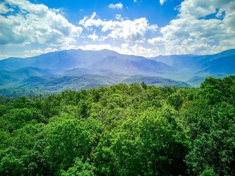 Dancing Bear Lodge, Gatlinburg, Game Room, Hot Tub, WIFI, Free Attraction Tickets House in Gatlinburg