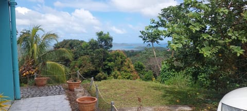 Natural landscape, Garden, Garden, Garden view, Sea view