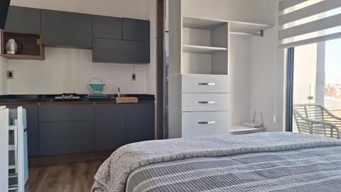 Kitchen or kitchenette, Photo of the whole room, wardrobe