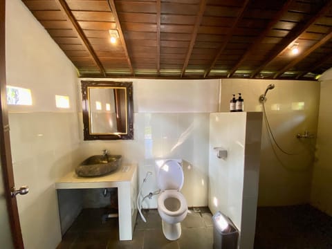 Shower, Toilet, Bathroom, bidet