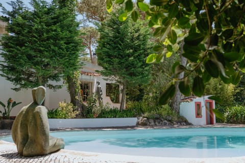 Spring, Day, Garden, Garden view, Pool view, Swimming pool