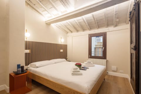 Cozy Studio in the Oltrarno Area Apartment in Florence