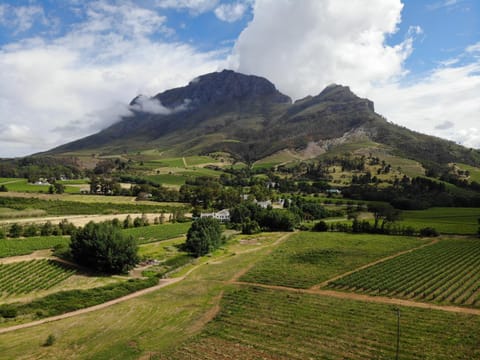 View (from property/room), Mountain view
