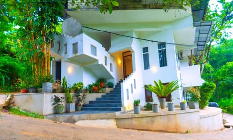 Property building, Day, Garden view