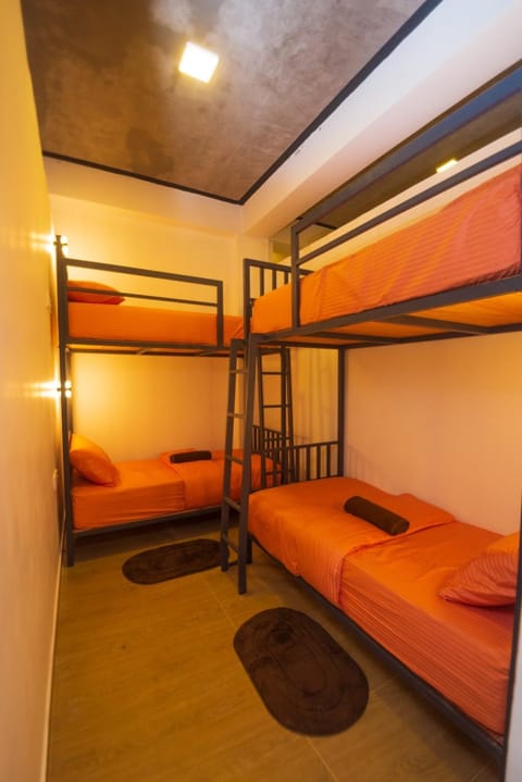 Bed, Photo of the whole room, Bedroom, bunk bed