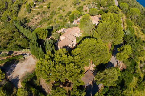 Bird's eye view, Garden