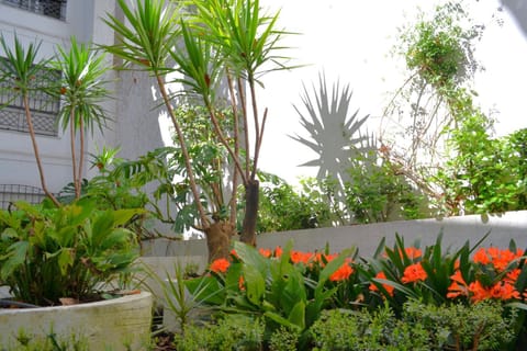 Off site, Garden, Garden view