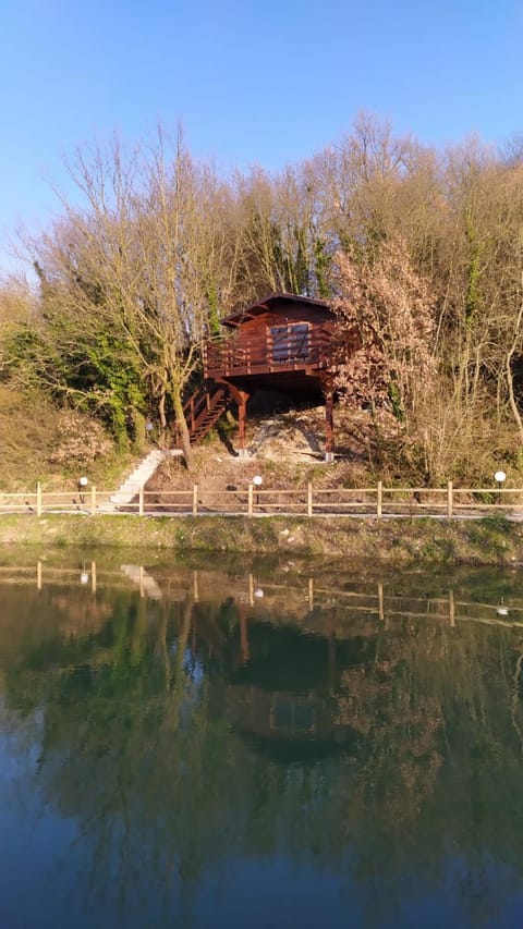 Lake view