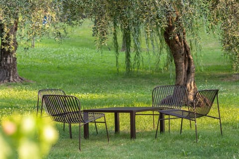 Natural landscape, Garden, Garden view