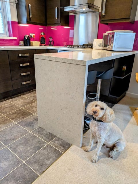 Kitchen or kitchenette, pet friendly