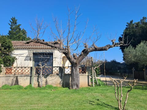 Spring, Day, Garden, Garden view