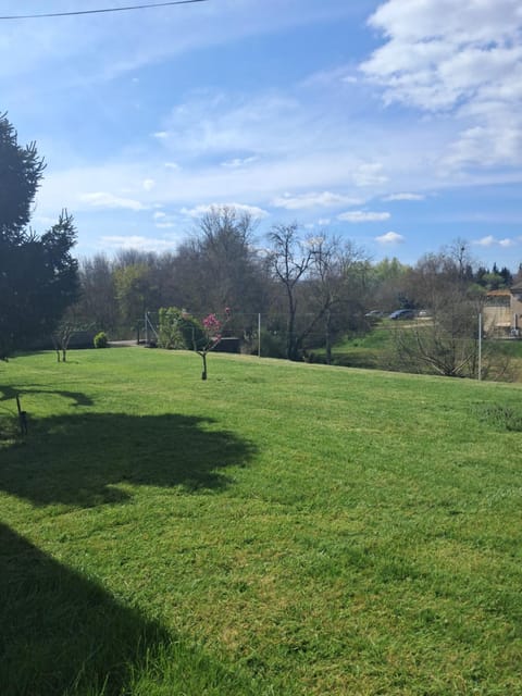 Spring, Day, Natural landscape, Garden, Garden view