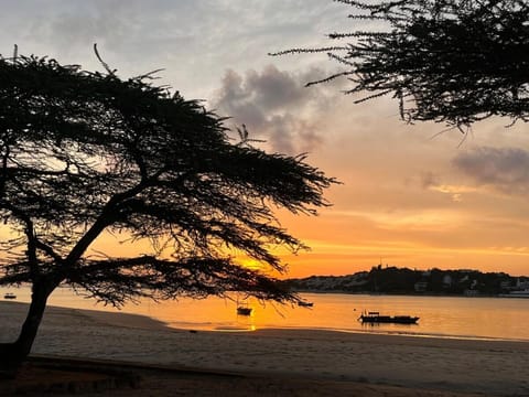 Nearby landmark, Natural landscape, Beach, Sea view, Sunset