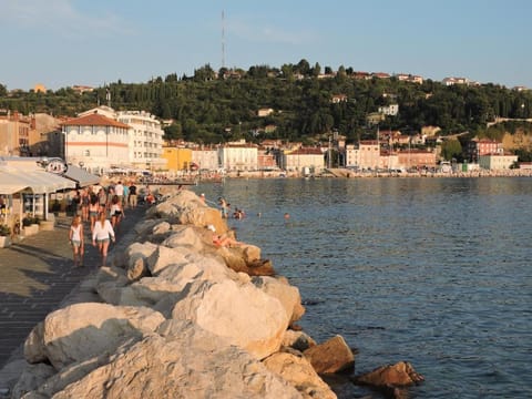 Piran, charming apartment facing sea ! Apartment in Piran