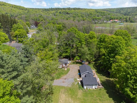 The Cabins at Walnut Grove-minutes from Hunter and Windham Cabin in Capital District, NY, USA