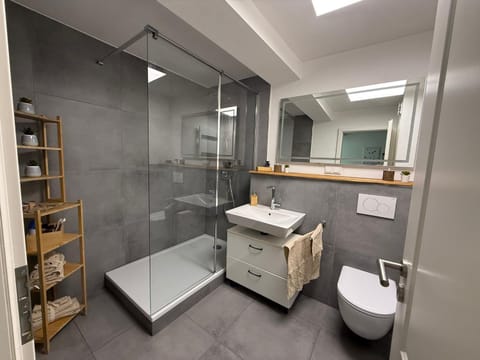 Shower, Toilet, Bathroom, towels
