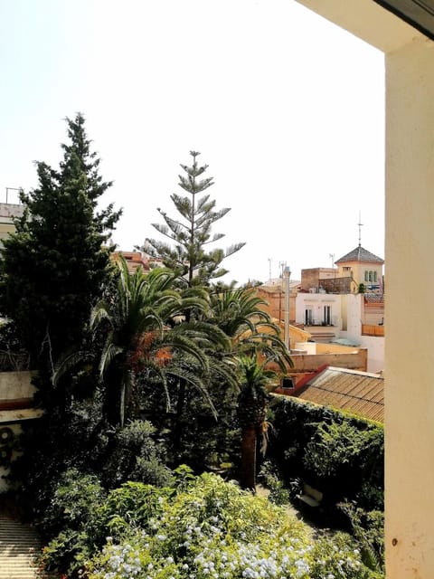 Garden view