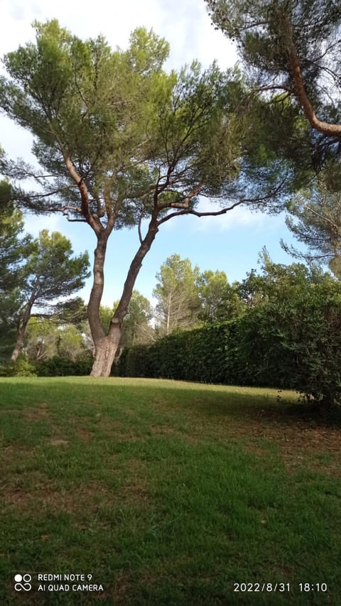 studio Villeneuve-lès-Avignon terrasses sous les pins Apartment in Villeneuve-lès-Avignon