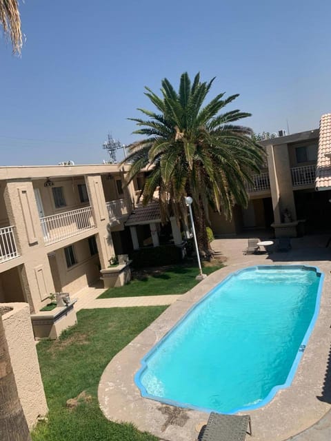 Garden, Pool view, Swimming pool