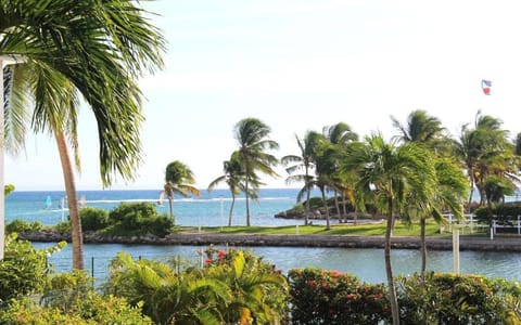 Nearby landmark, Day, Natural landscape, Garden, Garden view, Sea view