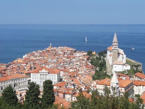 Piran great terrace facing sea ! Apartment in Piran