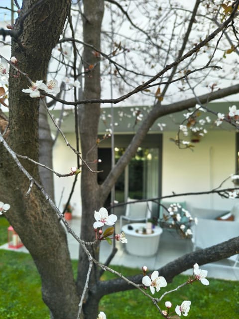 The elegant urban apartment Apartment in Chalandri