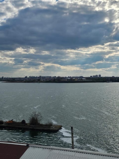 Lake view
