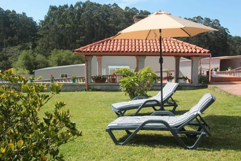 Day, Natural landscape, Garden, Garden view, sunbed