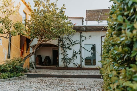 Property building, Spring, Day, Garden, Garden view