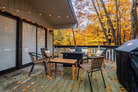 Game Room Fire Pit Dog Friendly House in Tobyhanna