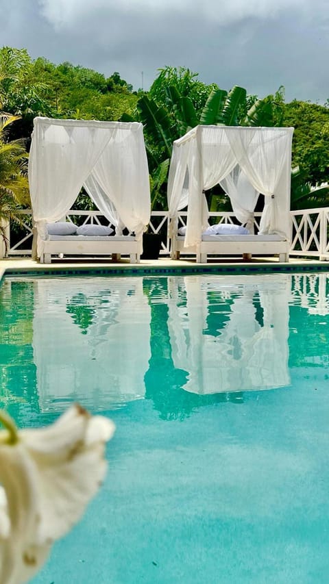 Day, Swimming pool, sunbed
