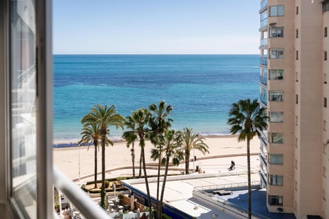 Restaurant/places to eat, Other, Beach