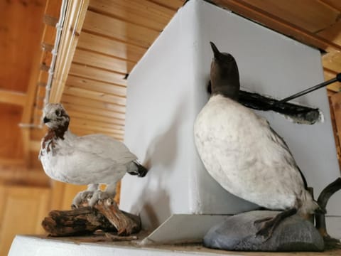 Pikkulammenkuja 1A Chalet in Lapland