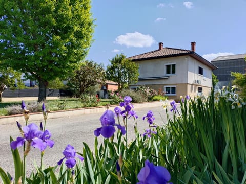 Garden, Garden
