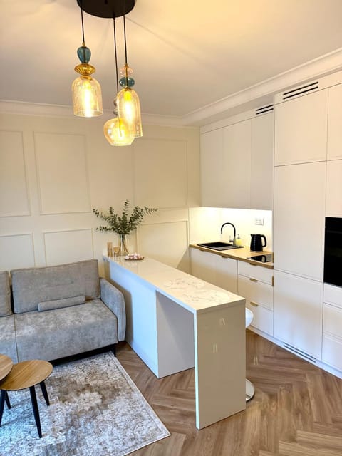 Kitchen or kitchenette, Living room, stove