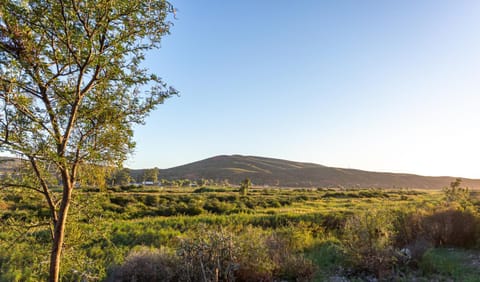 View (from property/room), Mountain view